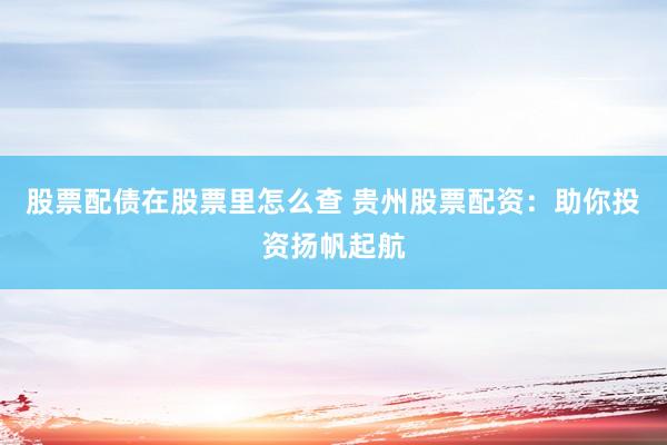 股票配债在股票里怎么查 贵州股票配资:助你投资扬帆起航