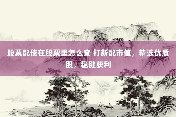 股票配债在股票里怎么查 打新配市值,精选优质股,稳健获利